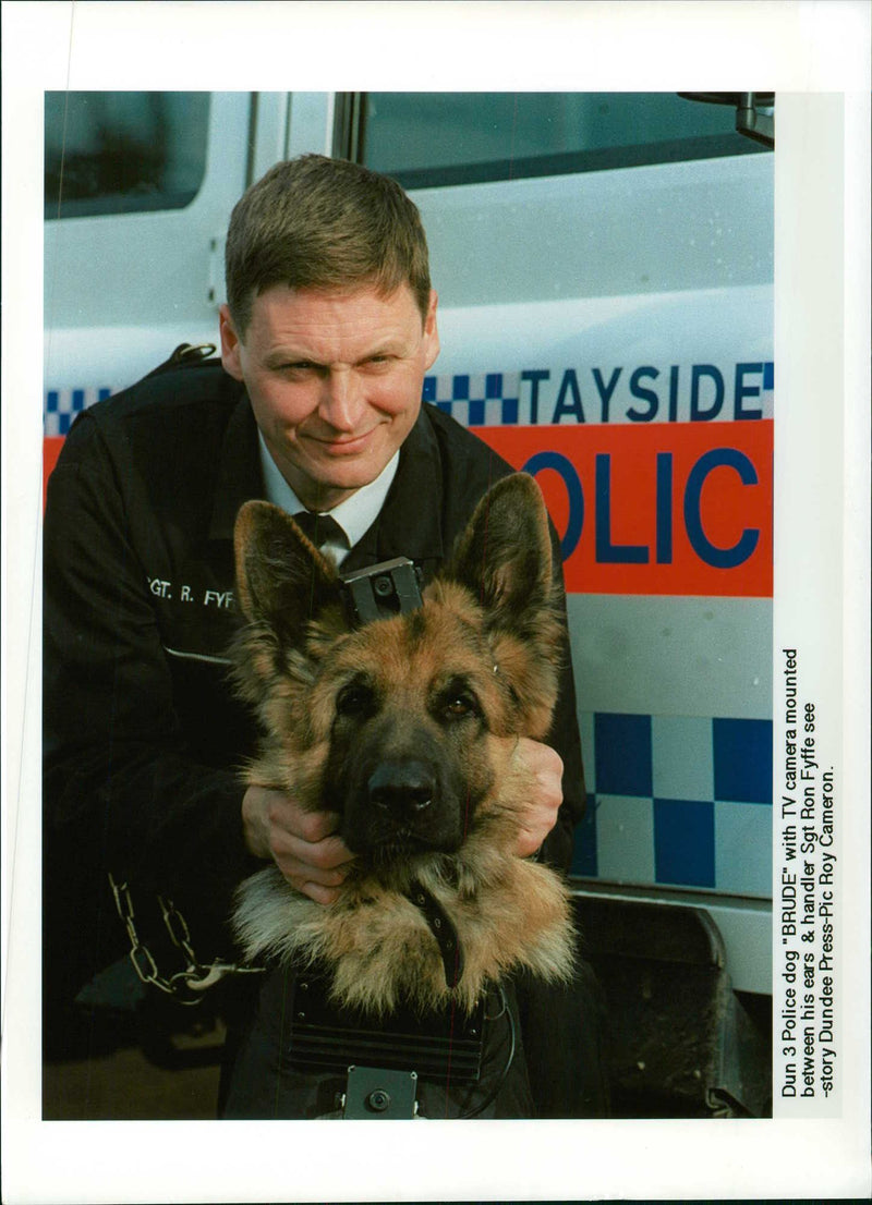 Police dog - Vintage Photograph