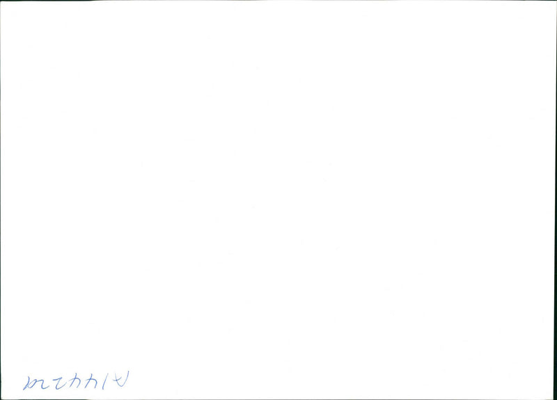 Police dog - Vintage Photograph