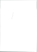 Police dog - Vintage Photograph