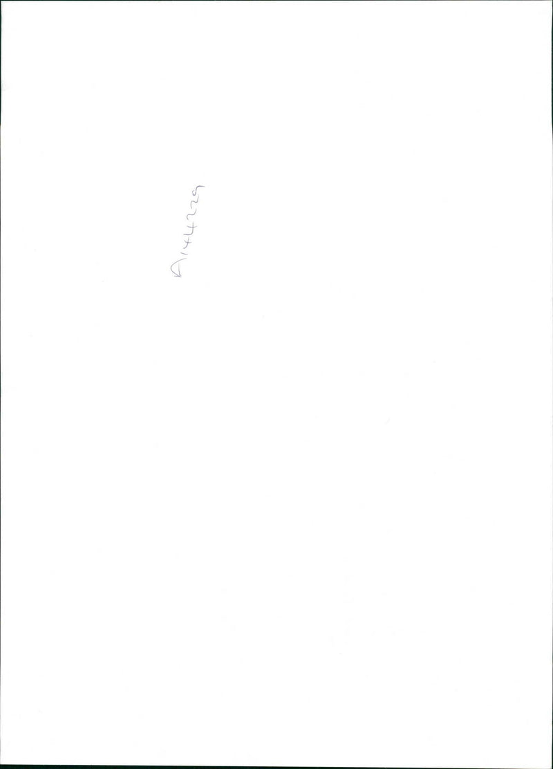 Police dog - Vintage Photograph