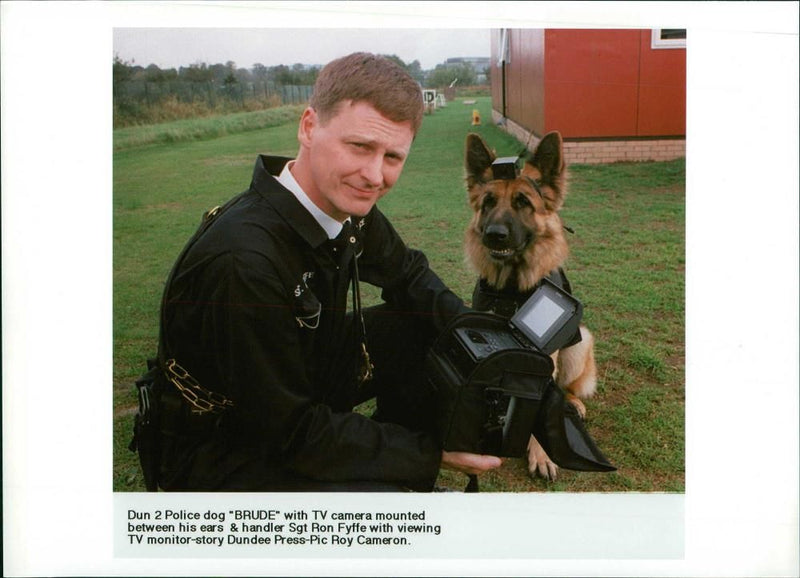 Police dog - Vintage Photograph