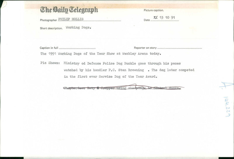 Police dog - Vintage Photograph