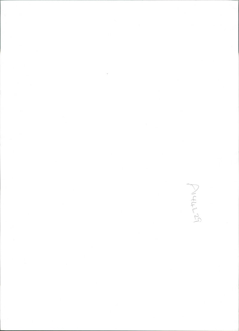 Police dog - Vintage Photograph