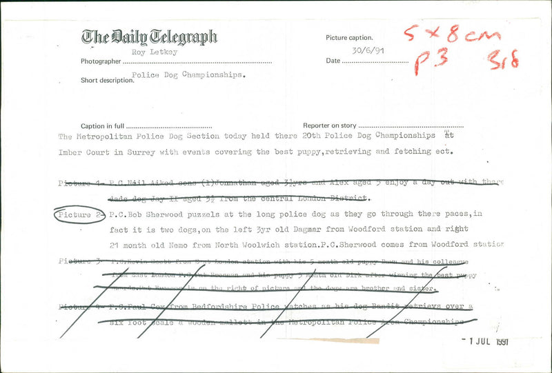 Police dog - Vintage Photograph