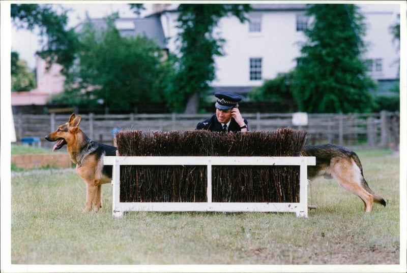 Police dog - Vintage Photograph