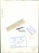 Police dog - Vintage Photograph