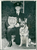 Police dog - Vintage Photograph