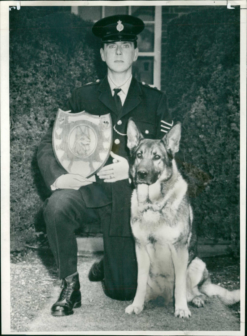 Police dog - Vintage Photograph