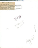 Police dog - Vintage Photograph