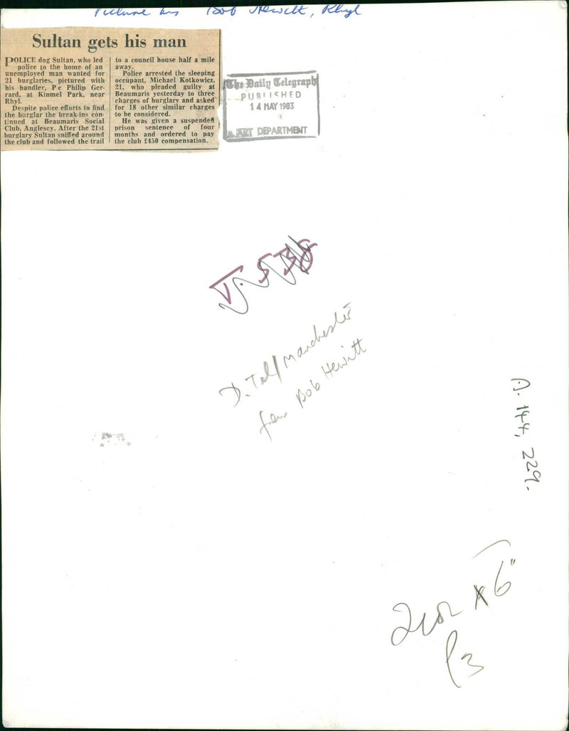 Police dog - Vintage Photograph