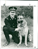 Police dog - Vintage Photograph