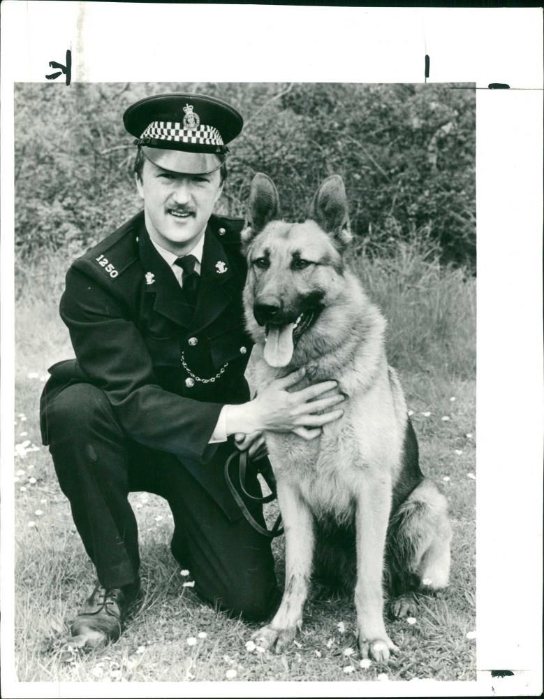 Police dog - Vintage Photograph