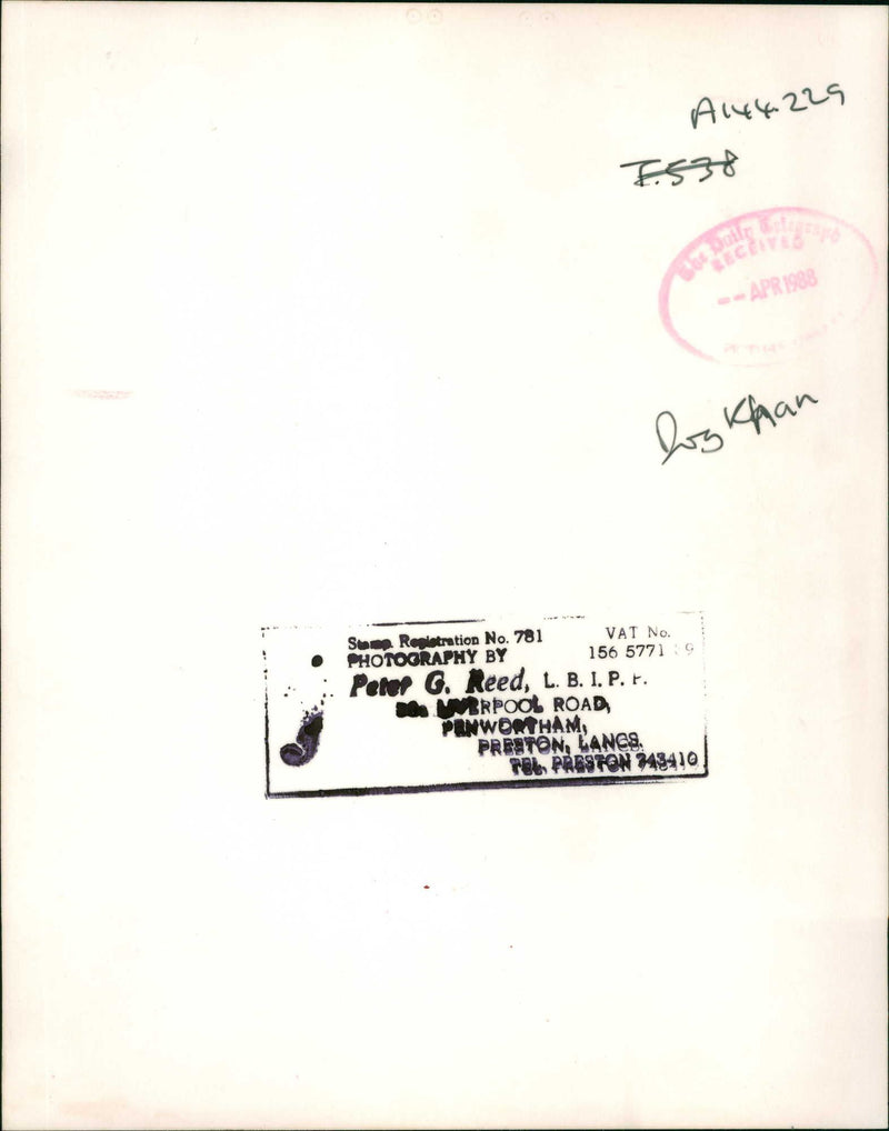 Police dog - Vintage Photograph