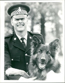 Police dog - Vintage Photograph