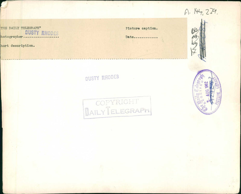 Police dog - Vintage Photograph