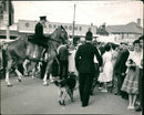 Police dog - Vintage Photograph