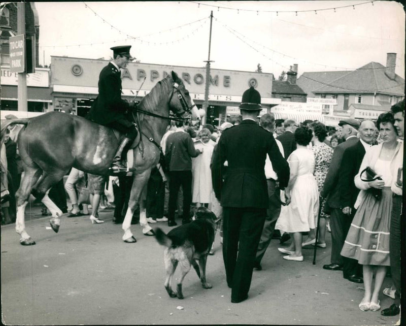 Police dog - Vintage Photograph