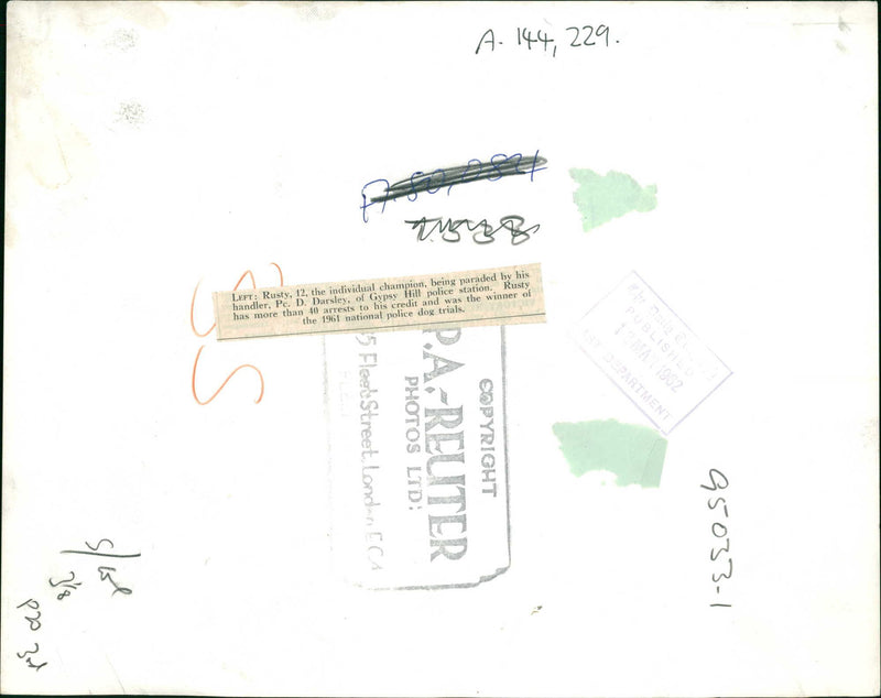 Police dog - Vintage Photograph