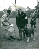 Police dog - Vintage Photograph