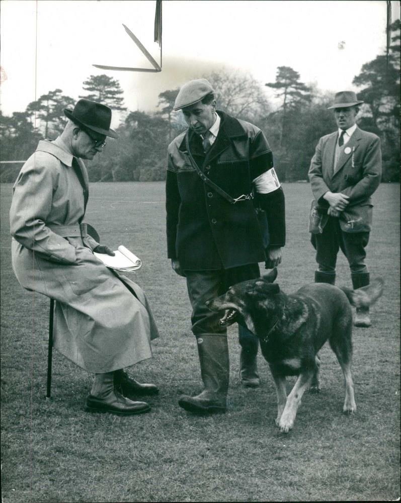 Police dog - Vintage Photograph