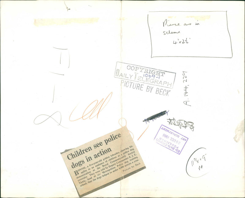 Children see police dogs in action. - Vintage Photograph