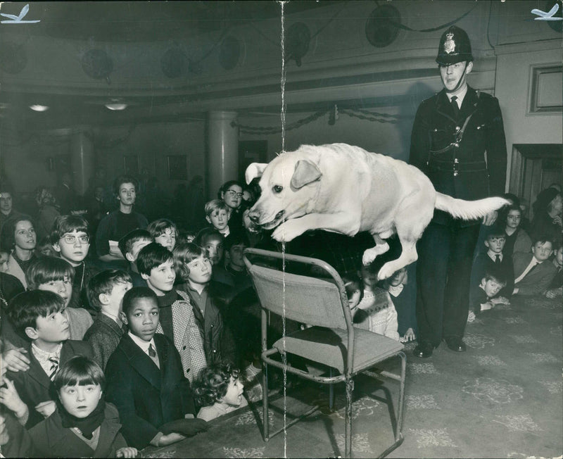 Children see police dogs in action. - Vintage Photograph