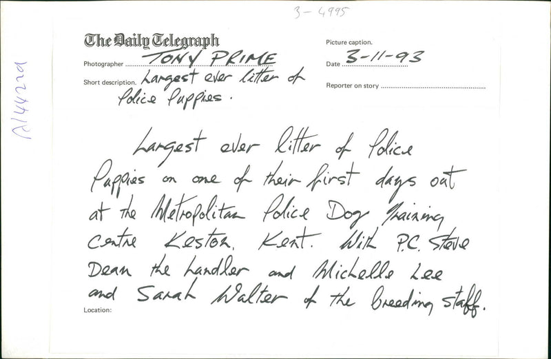 Largest ever litter of police pappies. - Vintage Photograph