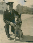 Police Dog Rex III with his handler  P.C A. Holman. - Vintage Photograph