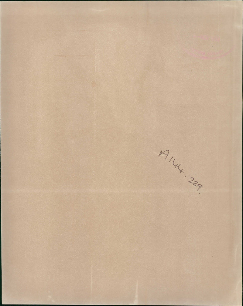 Police Dog - Vintage Photograph