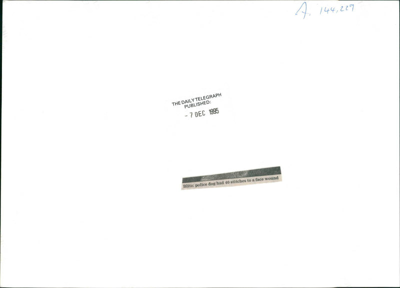 Police Dog hand 40 stitches to a face wound. - Vintage Photograph