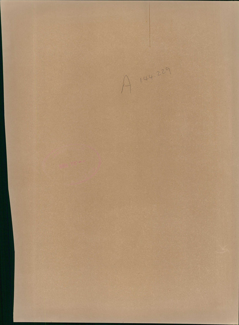 Police Dog - Vintage Photograph