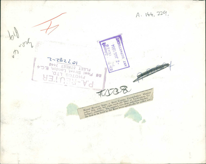 Mount browne saga a kent country. - Vintage Photograph