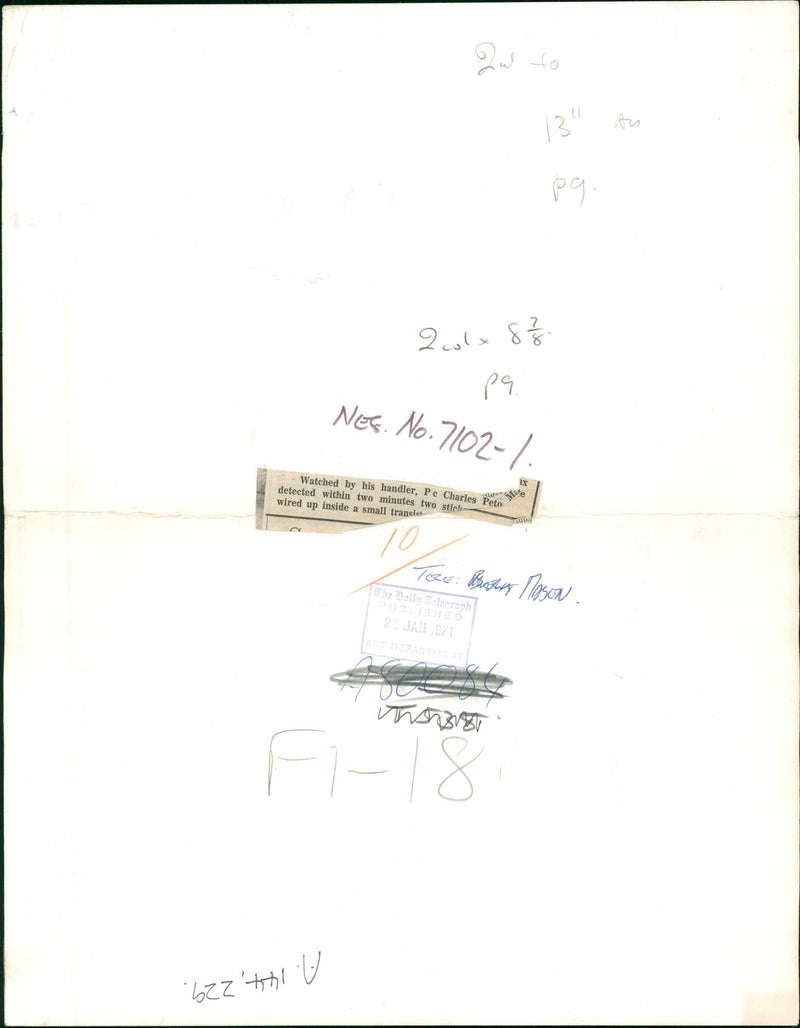 Police dog Watched by his handler. - Vintage Photograph