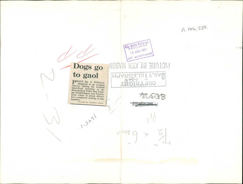 Sgt. A. Wilkinson disquised as an escaping convict. - Vintage Photograph