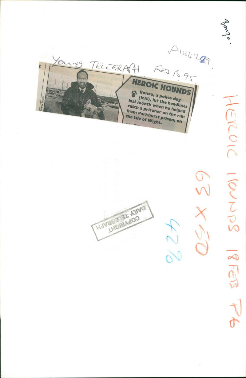 A police dog hit the headlines. - Vintage Photograph