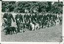 Police Dog being paraded by their handlers. - Vintage Photograph