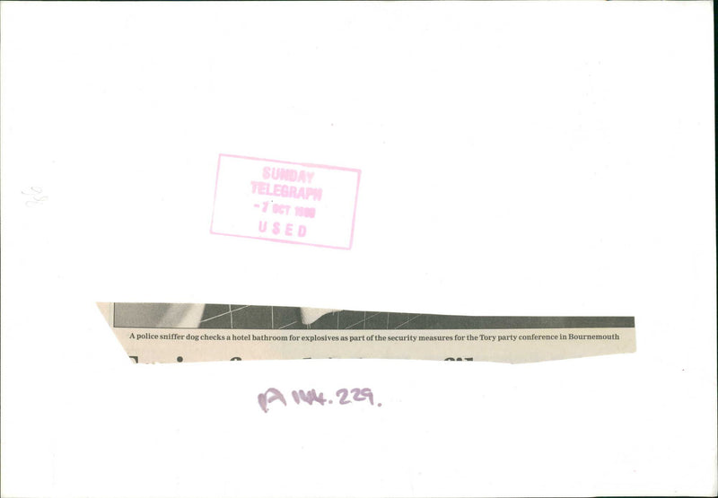 A police sniffer dog checks a hotel bathroom. - Vintage Photograph