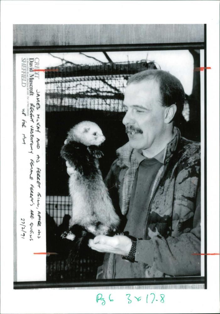 james mckay and his Ferret Animal - Vintage Photograph