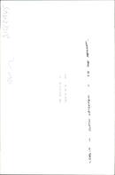 Ferret Animal - Vintage Photograph