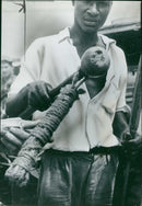 Angolan Civil War - Vintage Photograph