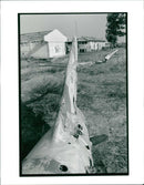 Angolan Civil War - Vintage Photograph