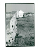 Angolan Civil War - Vintage Photograph