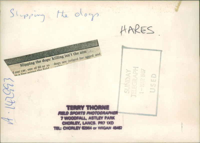 A man carrying two dogs - Vintage Photograph