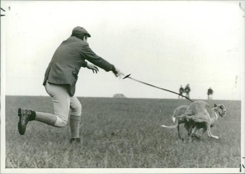 A man carrying two dogs - Vintage Photograph