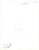 A man carrying two dogs - Vintage Photograph