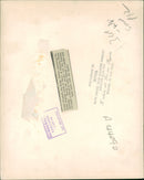 Queen Elizabeth - Vintage Photograph