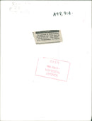 Bob Geldof Irish singer-songwriter,Bob geldolf as a burn out rock star in pink floyd the wall. - Vintage Photograph