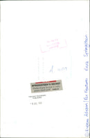 Bruce Springsteen American singer-songwriter. - Vintage Photograph