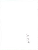 Bruce Springsteen American singer-songwriter. - Vintage Photograph