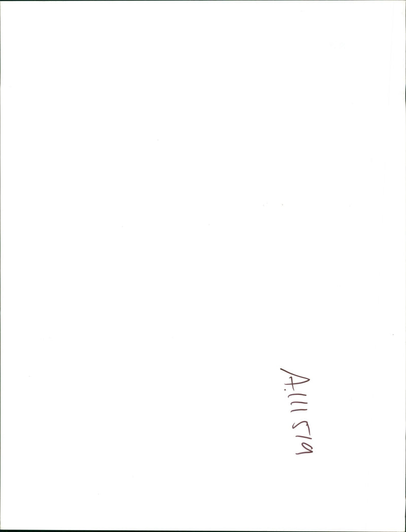 Bruce Springsteen American singer-songwriter. - Vintage Photograph